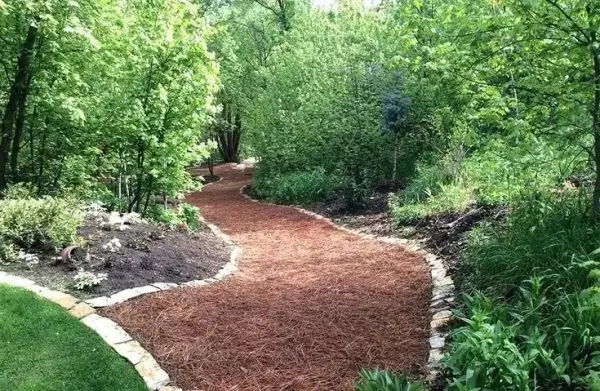 Premium Long Needle <br>Pine Straw - Image 4